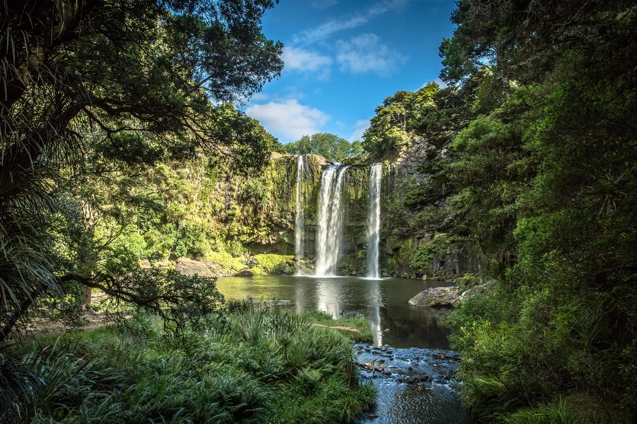 Whangarei falls